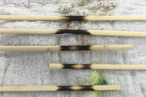 竹ひごの焦げ方