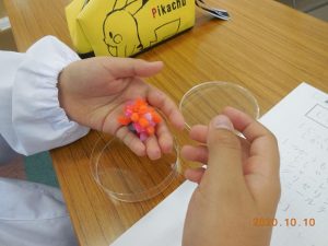 磁力線をモールで調べる